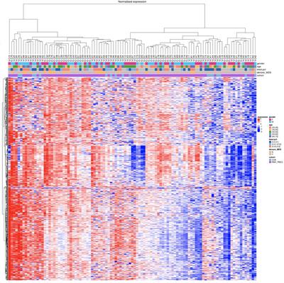 MicroRNA profiling in aplastic anemia reveals similarities between secondary myelodysplastic syndromes arising from clonal progression and de novo MDS